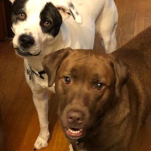 Meet your Posher, April